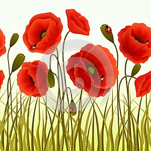 Poppy grass seamless wallpaper