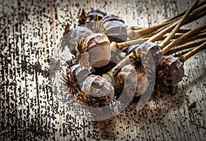 Poppy heads and seeds