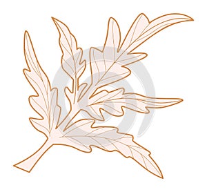 Poppy leaf silhouette. Plant leaves design element vector illustration