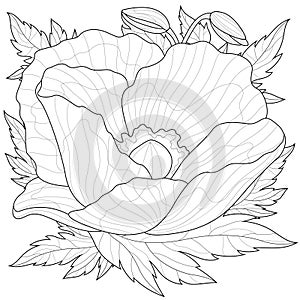 Poppy with leaves around. Flower.Coloring book antistress for children and adults