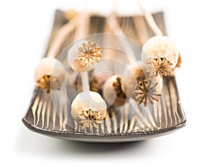 Poppy capsules in a bowl from the front