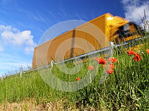 Poppy and motorway