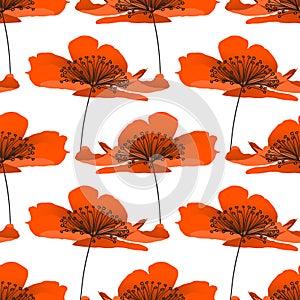 Poppy nature flower vector plant pattern drawing