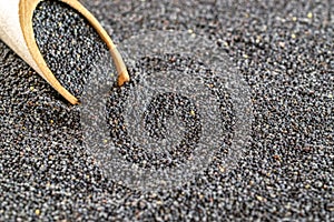 Poppy pattern seeds, wooden scoop on dark stone background. Pile poppyseed food in spoon on black. Vitamin snack breakfast, diet