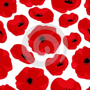 Poppy seamless pattern