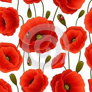 Poppy seamless pattern