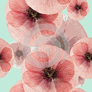 Poppy. Seamless pattern texture of pressed dry flowers.