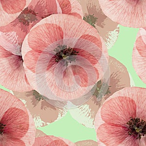 Poppy. Seamless pattern texture of pressed dry flowers.