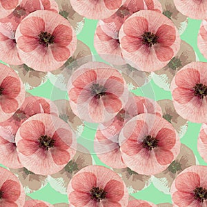 Poppy. Seamless pattern texture of pressed dry flowers.