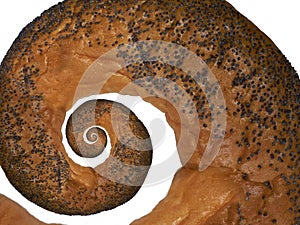 Poppy seed baked cracknel spiral abstract food fractal effect pattern background. Crispy crust cracknel abstract fractal photo