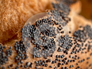 Poppy seed on bread roll macro