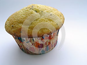 Poppy Seed Muffin