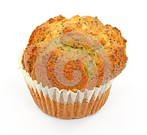 Poppy seed muffin