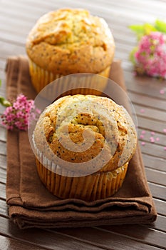 Poppy seed muffins