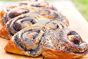 Poppy seed roll freshly baked on the table