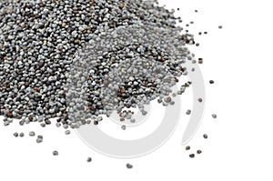 Poppy Seeds