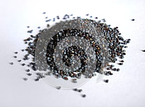 Poppy Seeds