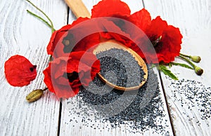 Poppy seeds and flowers