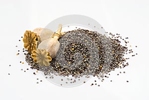 Poppy seeds isoalted