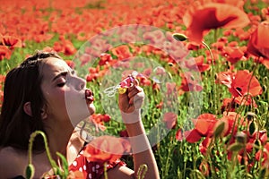 Poppy, Summer, spring, poppy flower. Woman blow bubble in poppy field, dreams.