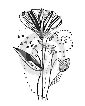 Poppy. Summer time abstract black flowers. Nature theme. Abstract poppy flower. Abstract tattoo design vector floral design