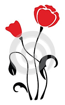 Poppy vector flower