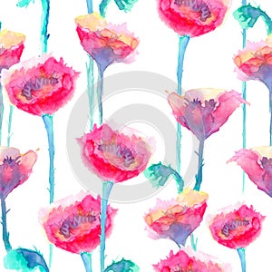 Poppy watercolor seamless pattern. Red summer background flowers
