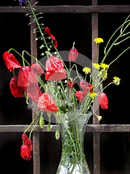Poppyflowers in a glass vase photo