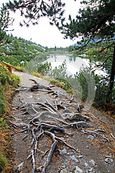 Popradske pleso - tarn in High Tatras, Slovakia