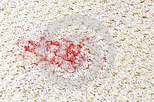 Carpet stain photo