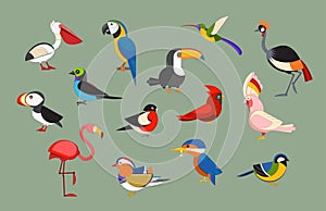 Popular Birds Icon Set