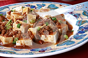 Popular Chinese Spicy Dish from Sichuan Tofu