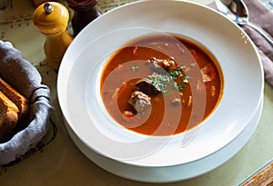 Popular dish of Russian cuisine is an appetizing hearty meat soup goulash