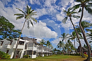 Populární ostrov středisku plný z kokos stromy v tropický fidži který je prázdný díky na19 epidemický 