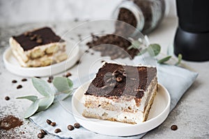 A popular Italian dessert. Tiramissu cake with coffee, cream cheese and sponge cake.