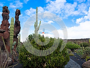 Popular Jardin de Cactus, Lanzarote, Spain photo