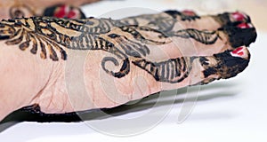 Popular Mehndi Designs for Hands Indian traditions