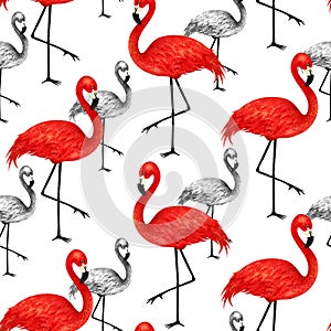 Popular modern style print with red and black flamingo. Trendy s