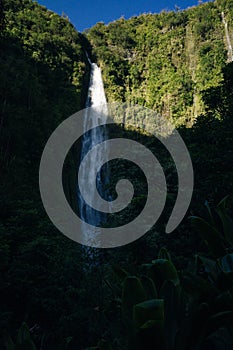 Popular Pipiwai trail in Haleakala National Park on Maui, Hawaii, USA