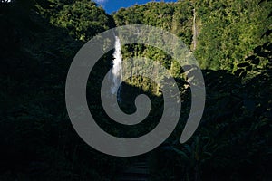 Popular Pipiwai trail in Haleakala National Park on Maui, Hawaii, USA