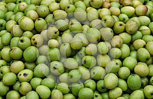 Popular seasonal fruit in Bangladesh nake kul/boroi