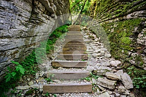 Popular tourist route in Yew-Boxwood Grove in Caucasian biosphere reserve, Khosta district of Sochi, Russia.