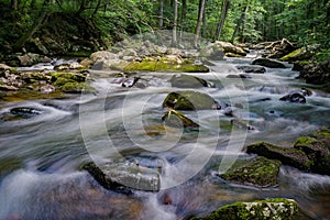 Popular Trout Stream in the Jefferson National Forest, USA