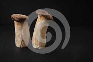 Popular uncooked healthy asian edible King Oyster mushrooms on black background. Asian cuisine.