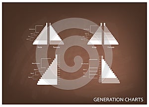 The Population Pyramids Graphs with 4 Generation