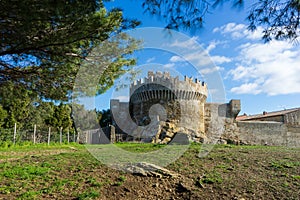 Populonia tower