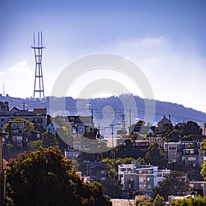 The populous San Francisco City on a sunny day