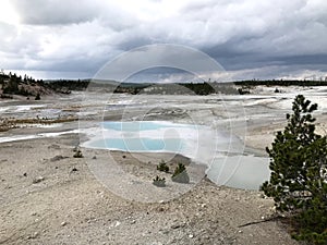 Porcelain basin hot springs in Yellowstone