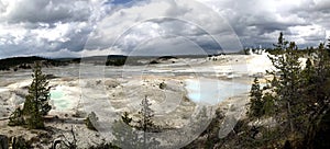 Porcelain basin hot springs in Yellowstone