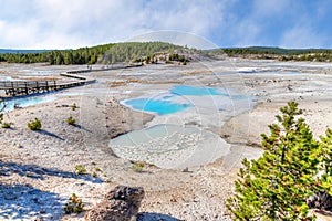 Porcelain Basin Trail at Norris Geyser Basin in Yellowstone National Park